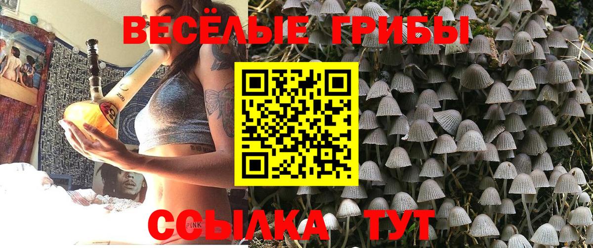 Псилоцибиновые грибы Psilocybe  Вход с VPN  Дмитров  Псилоцибиновые грибы Cubensis 